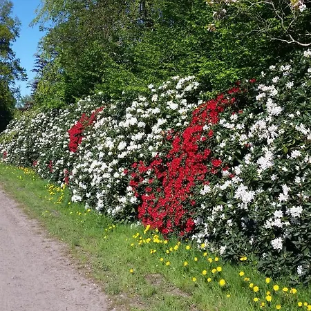 Ferienwohnung Morgensonne Westerstede Zewnętrze zdjęcie
