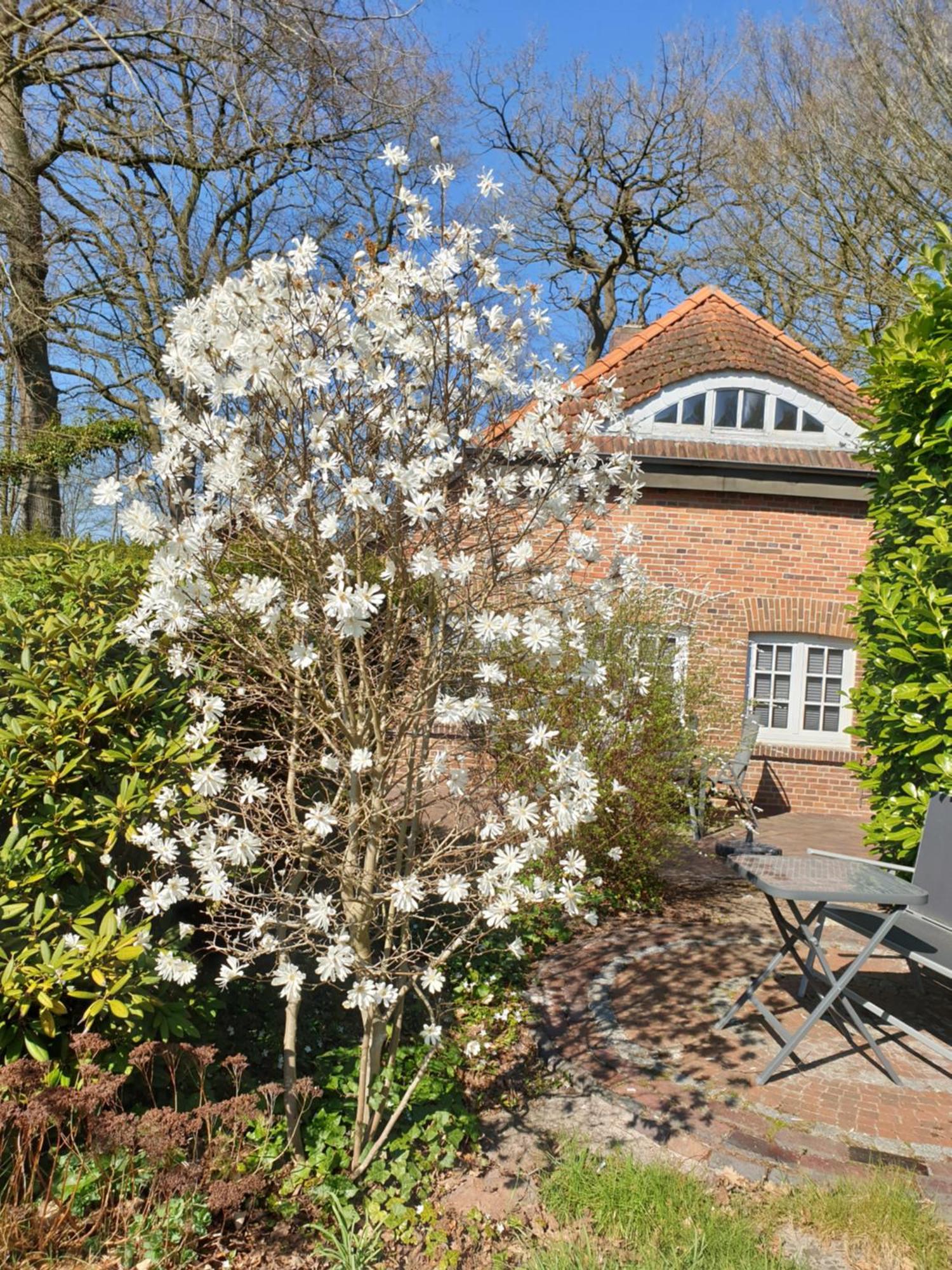 Apartment Morgensonne Westerstede